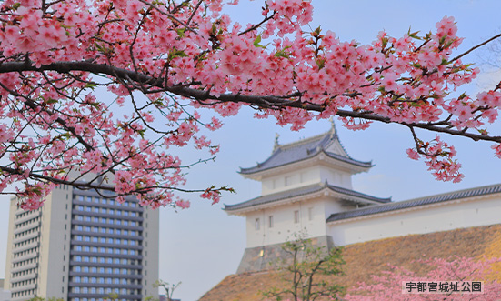 栃木県のドライブコース1