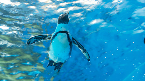 東京都の観光スポット2