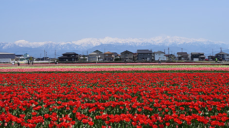 富山県の観光スポット1