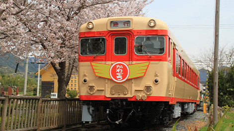 和歌山県の観光スポット3