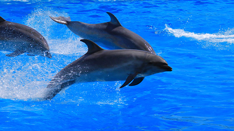 和歌山県の観光スポット5