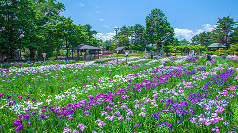 山形県の観光スポット2
