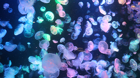 山形県の観光スポット3