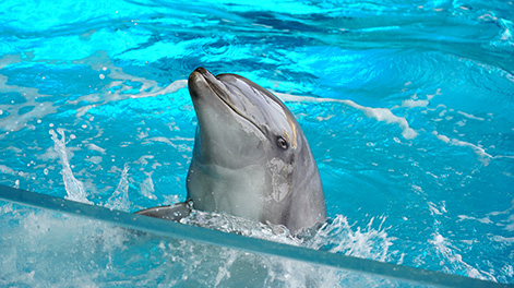 山口県の観光スポット3