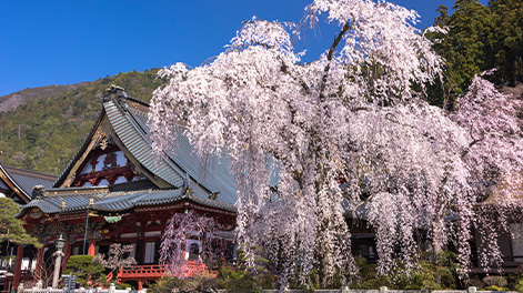 山梨県の観光スポット6
