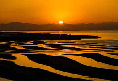 恋叶（こいかな）ロード