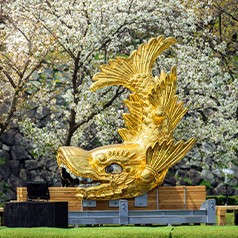 東海地方のレンタカー